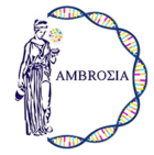 AMBROSIA EU project