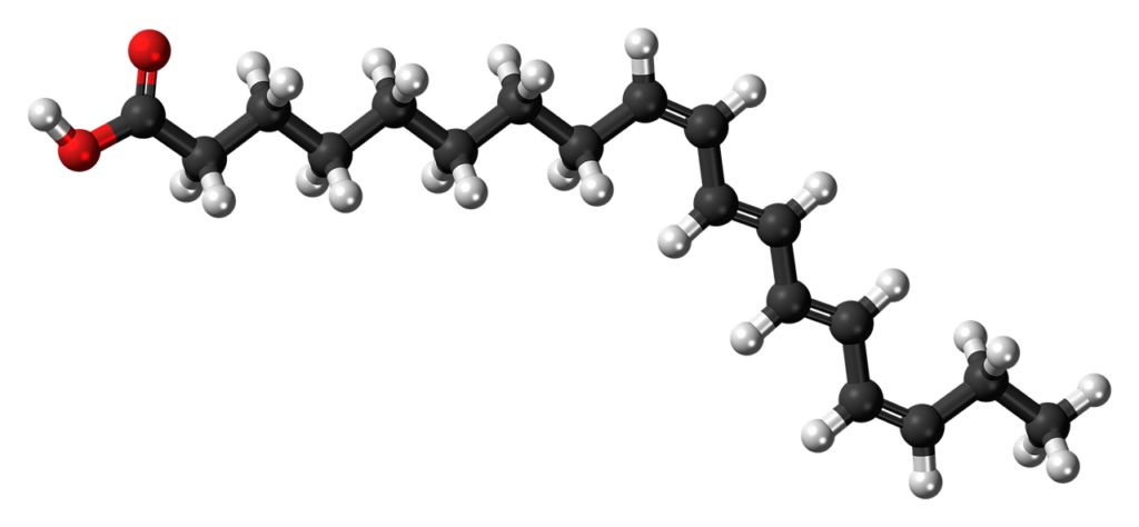 alpha parinaric acid, unsaturated, fatty acid-872702.jpg